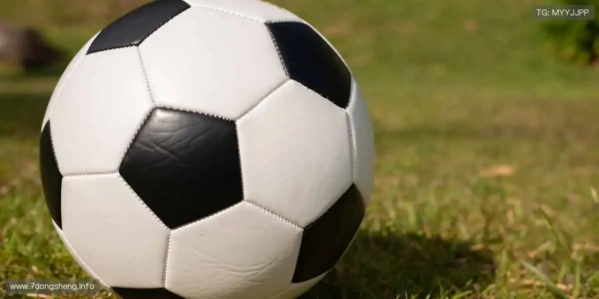 高清大片，尽情享受！🍿🎞️